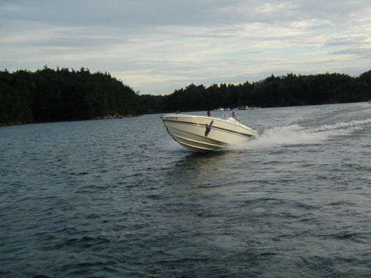 Summer 01
